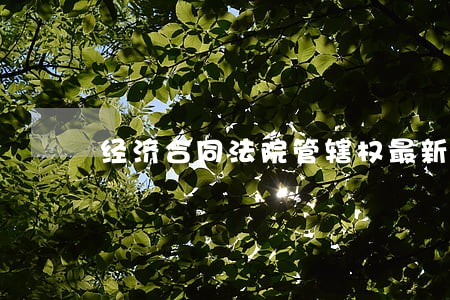 经济合同法院管辖权最新规定