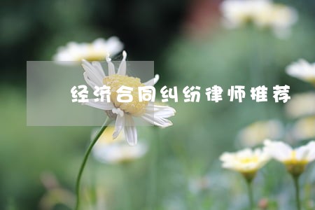 经济合同纠纷律师推荐 经济合同纠纷律师推荐