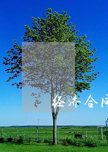 经济合同纠纷案律师收费 经济合同纠纷案律师收费