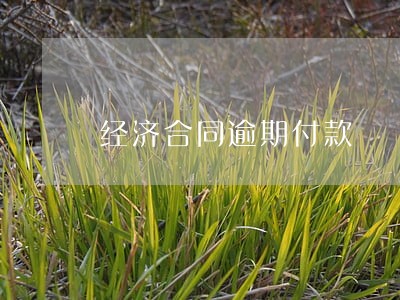 经济合同逾期付款 经济合同逾期付款