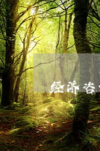 经济咨询和法律咨询