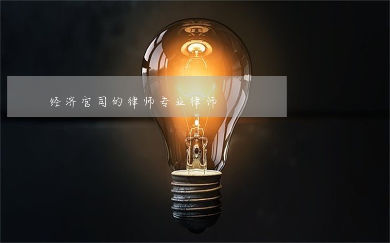 经济官司的律师专业律师