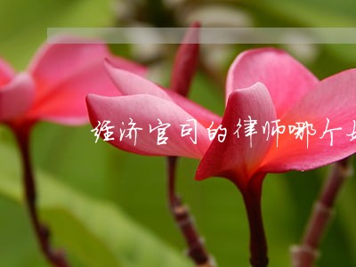 经济官司的律师哪个好 经济官司的律师哪个好