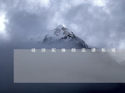 经济实体的法律形式 经济实体的法律形式