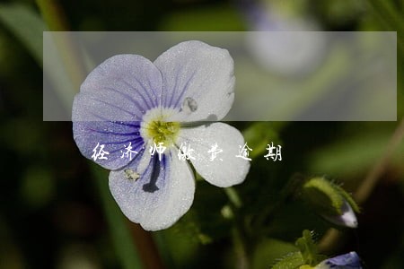 经济师缴费逾期 经济师缴费逾期