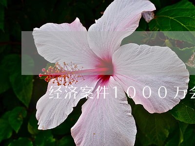 经济案件1000万会判哪些刑法 经济案件1000万会判哪些刑法
