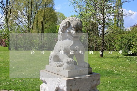 经济案件律师的专业术语