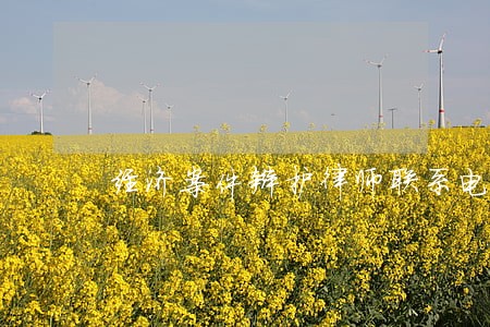 经济案件辩护律师联系电话 经济案件辩护律师联系电话
