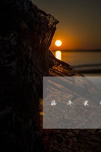 经济案律师事务所排名 经济案律师事务所排名