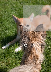 经济法一般考职称需要哪几门