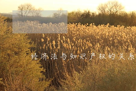 经济法与知识产权的关系 经济法与知识产权的关系
