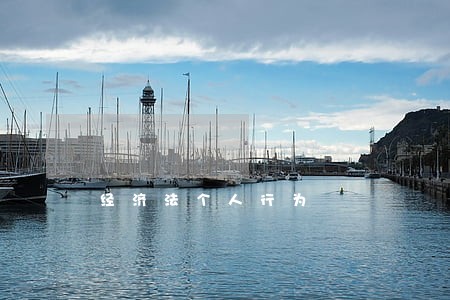 经济法个人行为 经济法个人行为