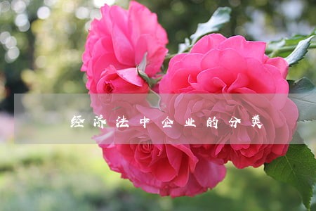 经济法中企业的分类 经济法中企业的分类