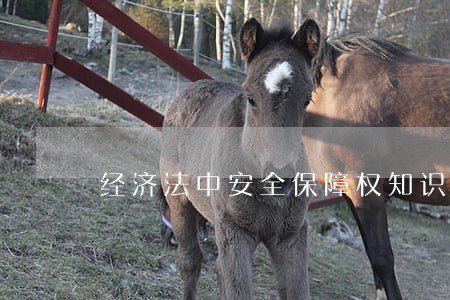 经济法中安全保障权知识点 经济法中安全保障权知识点