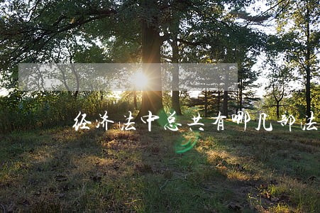 经济法中总共有哪几部法律 经济法中总共有哪几部法律