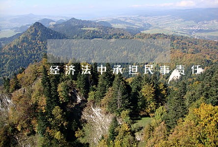 经济法中承担民事责任 经济法中承担民事责任