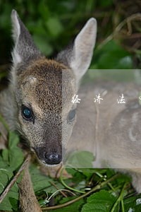 经济法中没有使用的固定资产 经济法中没有使用的固定资产