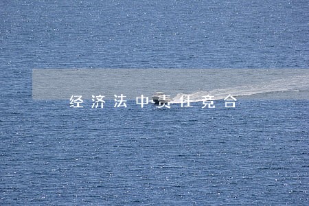 经济法中责任竞合 经济法中责任竞合