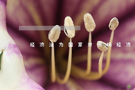 经济法为国家对市场经济进行 经济法为国家对市场经济进行