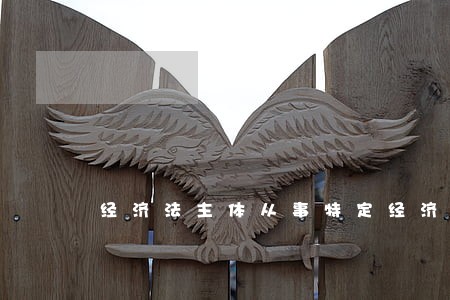 经济法主体从事特定经济活动时 经济法主体从事特定经济活动时