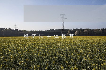 经济法主体按其 经济法主体按其