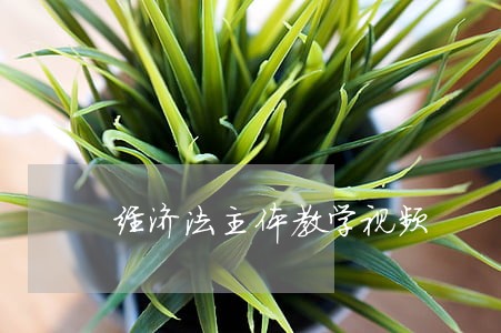 经济法主体教学视频 经济法主体教学视频