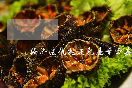 经济法仇兆波孔庆华田嘉主编 经济法仇兆波孔庆华田嘉主编