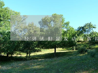 经济法但是发动发挥拉 经济法但是发动发挥拉