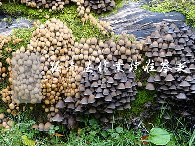 经济法作业标准答案 经济法作业标准答案