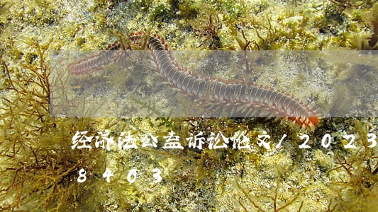 经济法公益诉讼论文/2023021558403