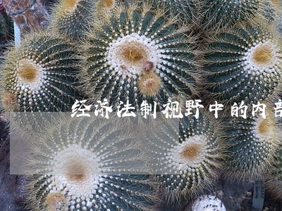 经济法制视野中的内部会计监督