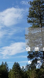 经济法历史发展特点/2023021556550