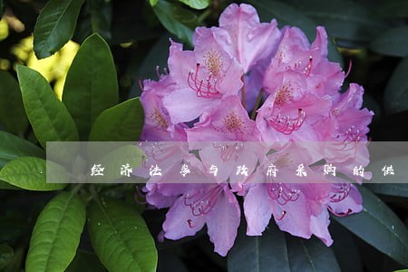 经济法参与政府采购的供应商资格 经济法参与政府采购的供应商资格