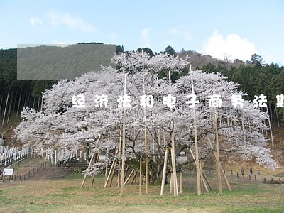 经济法和电子商务法期末考试 经济法和电子商务法期末考试