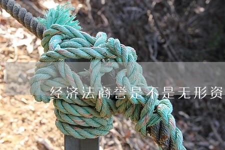 经济法商誉是不是无形资产 经济法商誉是不是无形资产