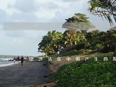 经济法在中国产生的原因 经济法在中国产生的原因