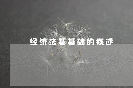 经济法基基础的概述 经济法基基础的概述