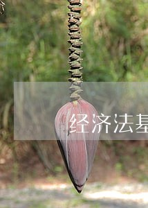 经济法基本理论问题探析 经济法基本理论问题探析