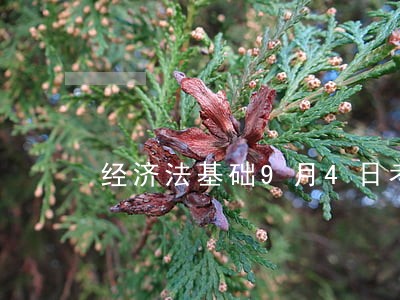 经济法基础9月4日考试试题 经济法基础9月4日考试试题