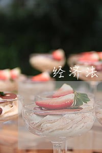 经济法基础与实务考试大纲 经济法基础与实务考试大纲