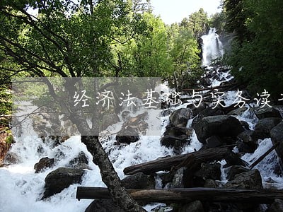 经济法基础与实务读书心得 经济法基础与实务读书心得