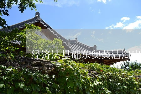 经济法基础东奥黄洁洵串讲班 经济法基础东奥黄洁洵串讲班