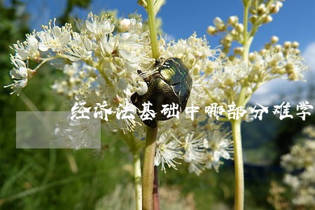 经济法基础中哪部分难学 经济法基础中哪部分难学
