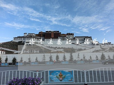 经济法基础主编张红 经济法基础主编张红