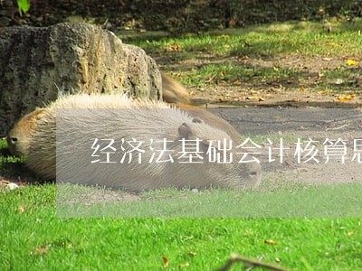 经济法基础会计核算思维导图 经济法基础会计核算思维导图