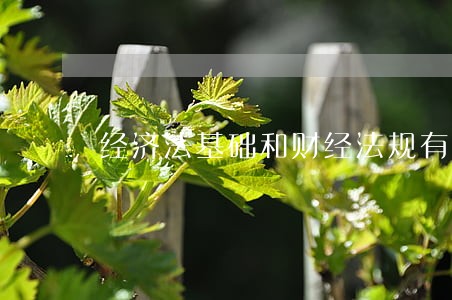 经济法基础和财经法规有什么区别