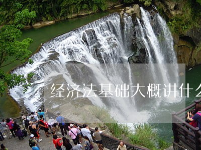 经济法基础大概讲什么 经济法基础大概讲什么