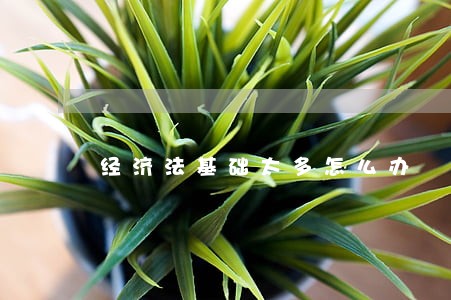 经济法基础太多怎么办 经济法基础太多怎么办