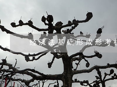 经济法基础形成形考核册 经济法基础形成形考核册