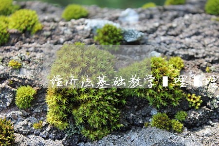 经济法基础教学哔哩哔哩 经济法基础教学哔哩哔哩